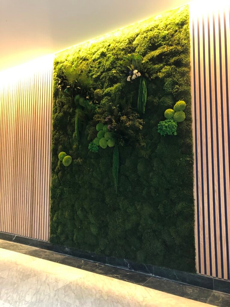 jardín vertical preservado con musgo y plantas 