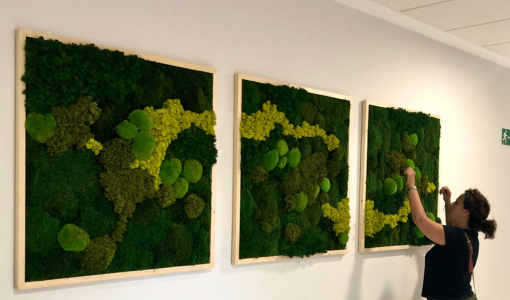 Jardín vertical en formato cuadro realizado con musgo reno y musgo forestal 