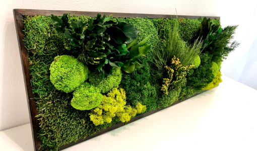 CUADRO VEGETAL DE MUSGO Y PLANTAS 