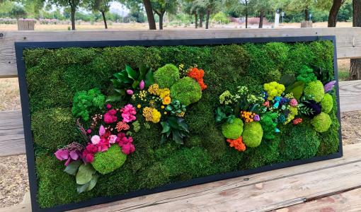 CUADRO DE MUSGO Y FLORES PRESERVADAS