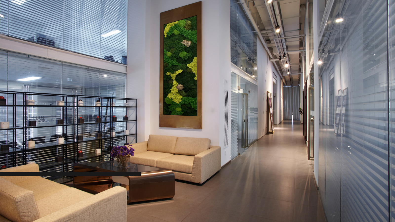 CUADRO DE MUSGO PRESERVADO EN COWORKING