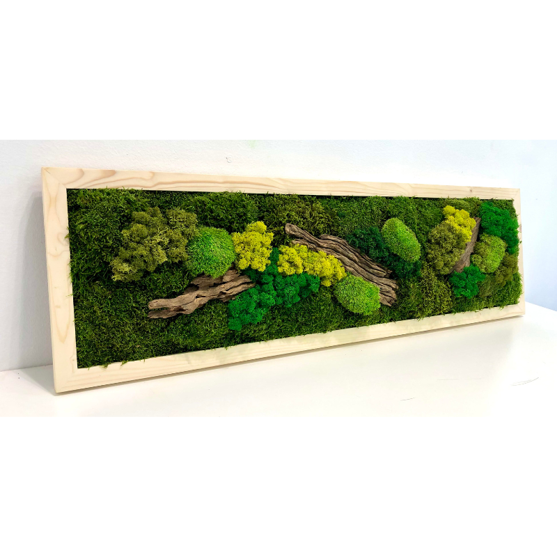 CUADROS IGNIFUGOS CON MUSGO Y MADERA