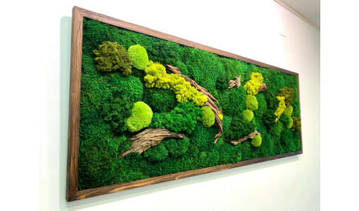 CUADRO DE MUSGO PRESERVADA Y MADERA OPUWA