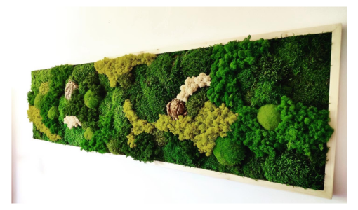 CUADRO PRESERVADO DE MUSGO Y MUSGO RENO CON INCRUSTACIONES DE MADERA