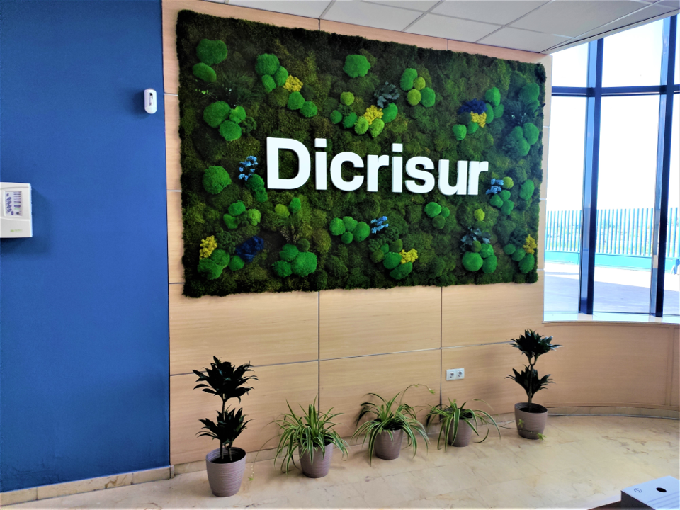 DICRISUR jardin vertical en sevilla de musgo preservado