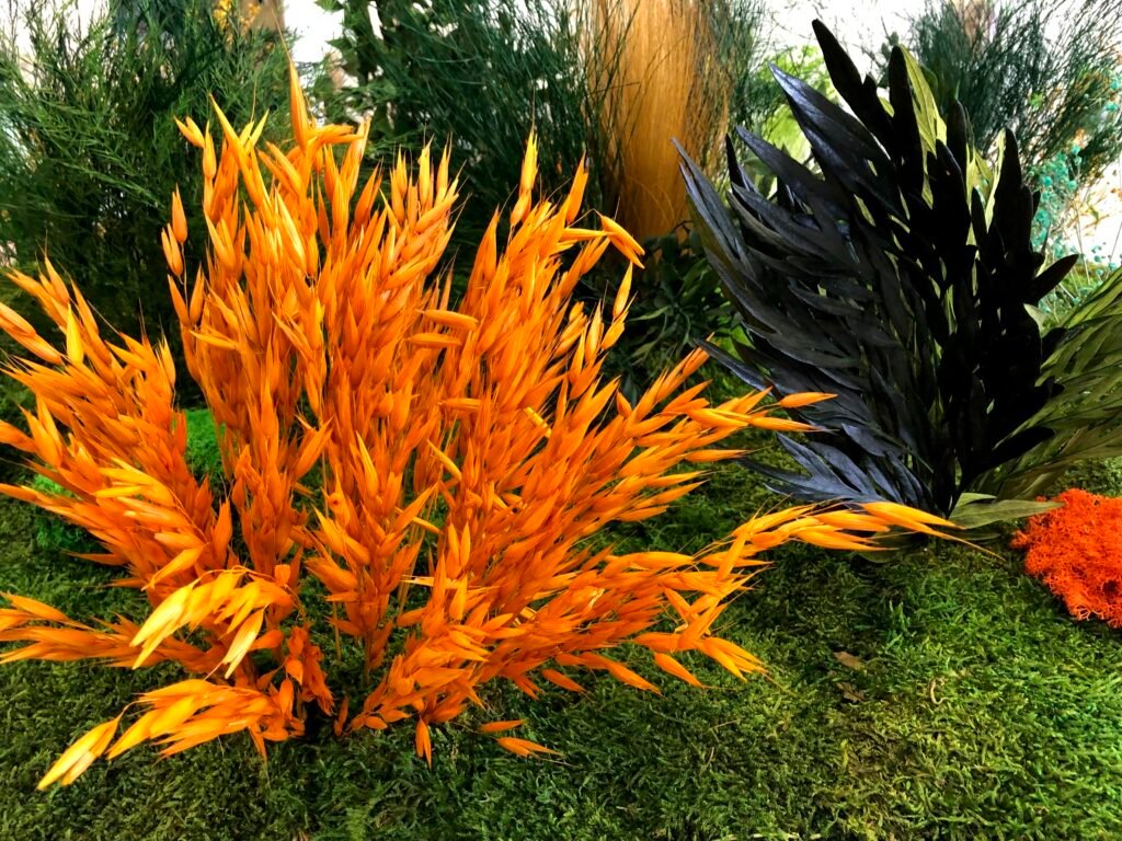 plantas preservadas